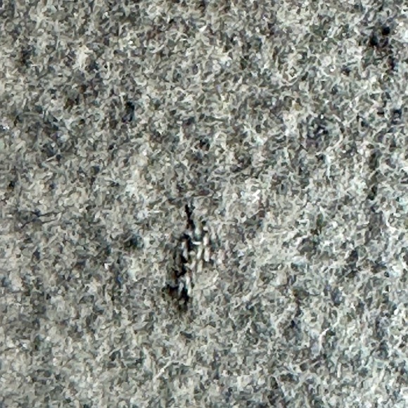 ALORNA' Lazarus of Virginia' Wool blend Single-breasted Union made, Overcoat USA - Picture 13 of 13